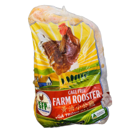 CAGE FREE FARM ROOSTER